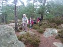 2012-10-11 10-36-51 Rando Fontainebleau- matin FGn